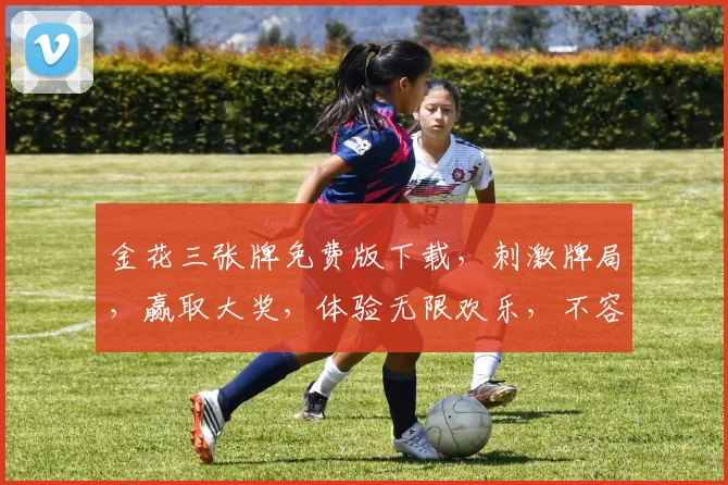 金花三张牌免费版下载，刺激牌局，赢取大奖，体验无限欢乐，不容错过