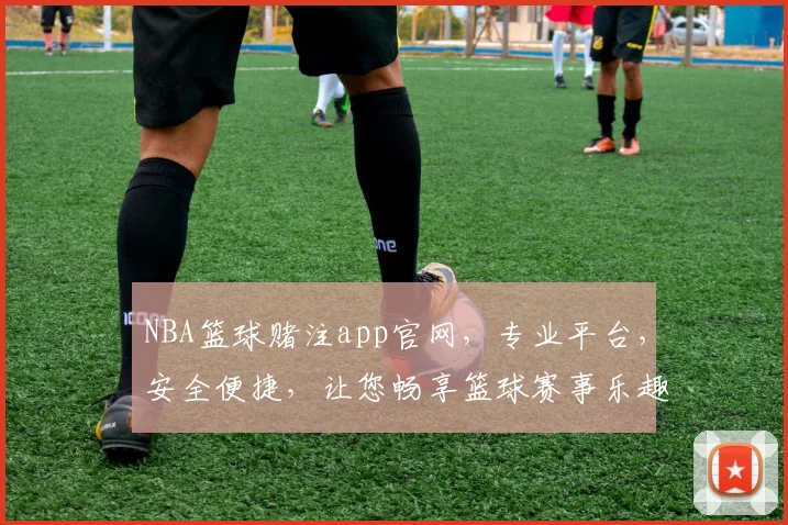 NBA篮球赌注app官网，专业平台，安全便捷，让您畅享篮球赛事乐趣逗逗逗