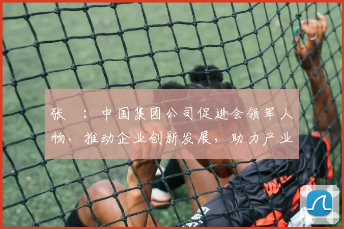 张彧：中国集团公司促进会领军人物，推动企业创新发展，助力产业升级三步走